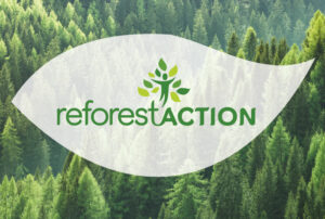 Reforest'Action