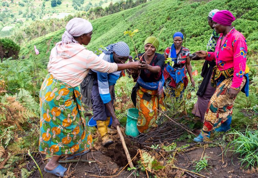 Reforest'Action
