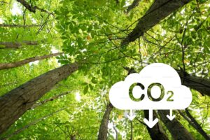 CO2 industriel