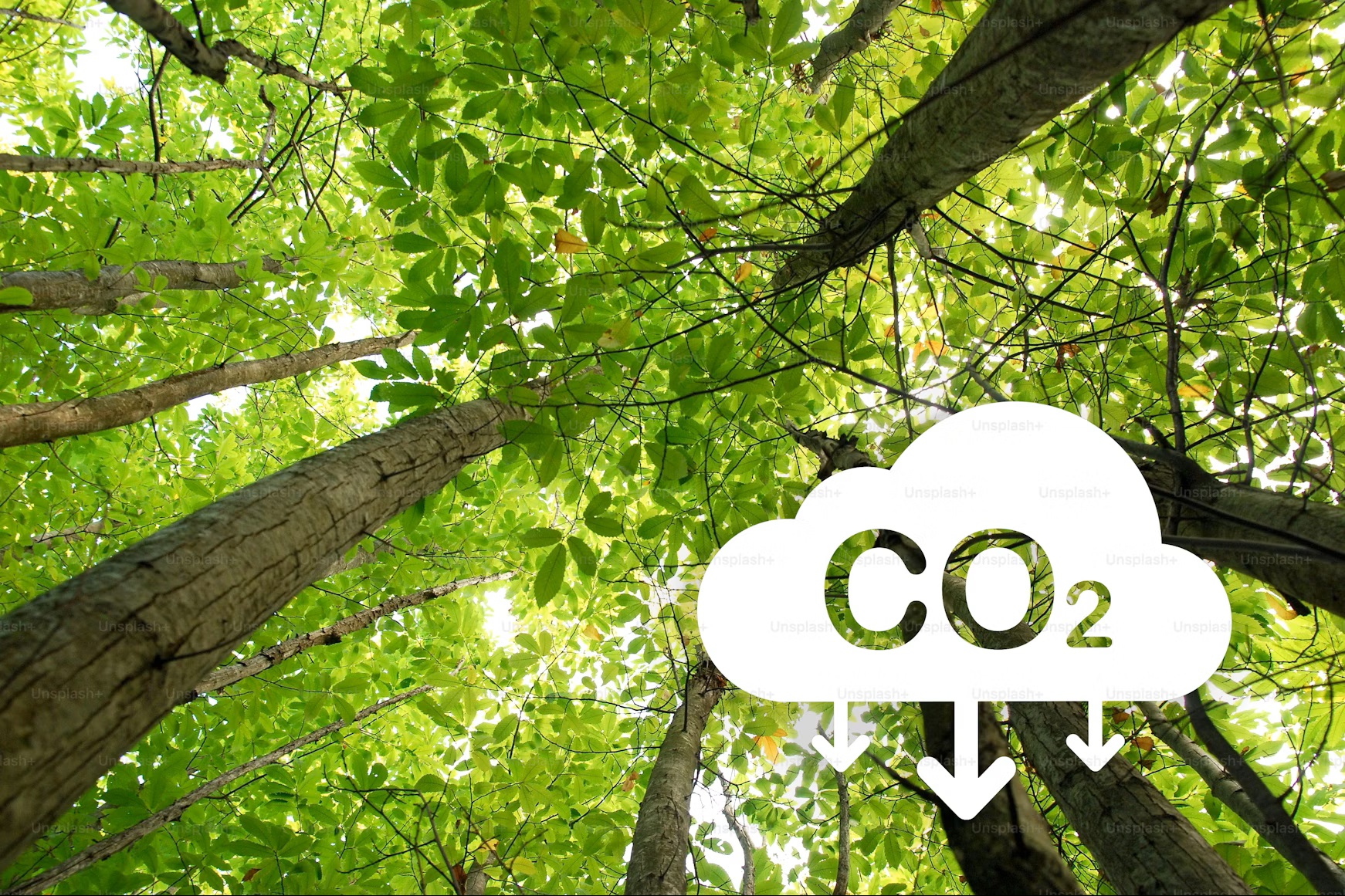 CO2 industriel